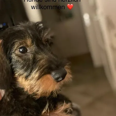 Schicke & Zentrale In Nahe Lejlighed Vesterland